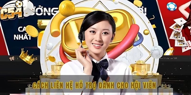 Liên hệ C54 để nhận hỗ trợ với 4 phương thức mới nhất 2 Cách liên hệ hỗ trợ dành cho hội viên